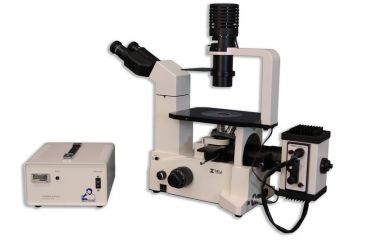 Image of Meiji Techno Binocular Inverted Epi-Fluorescense Biological Microscope, TC-5500