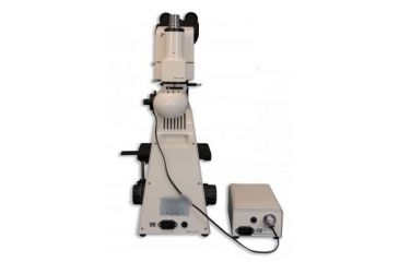 Image of Meiji Techno Halogen Ergo Trino Incident,Transmitted Light BF Microscope, BEIGE, LARGE MT8100EH