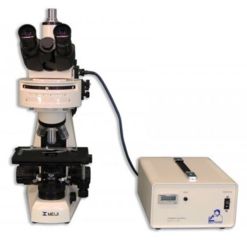 Image of Meiji Techno Halogen Trinocular Epi-Fluorescence Biological Microscope, BEIGE, LARGE MT6300H
