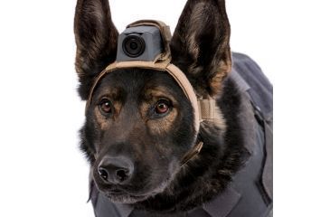 Image of MOHOC K9 Mount, Black, One size fits all MH-K9BK