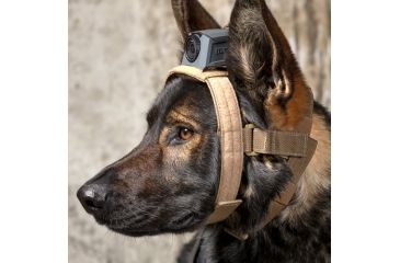 Image of MOHOC K9 Mount, Black, One size fits all MH-K9BK
