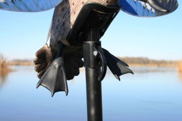 Image of Mojo Blue Wing Teal, Elite Series HW2475