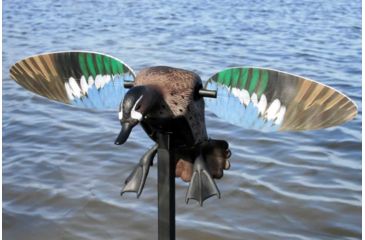 Image of Mojo Blue Wing Teal, Elite Series, HW2475