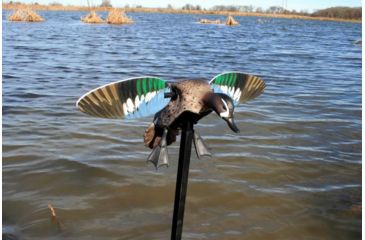 Image of Mojo Blue Wing Teal, Elite Series, HW2475