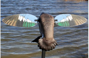 Image of Mojo Blue Wing Teal, Elite Series, HW2475