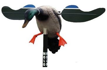 Image of MOJO Baby Mallard Decoy, Drake, HW4401