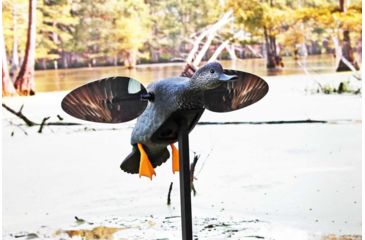 Image of Mojo Gadwall Decoy, Elite Series, HW2473