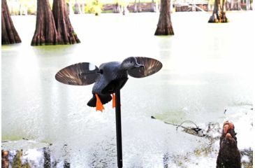 Image of Mojo Gadwall Decoy, Elite Series, HW2473
