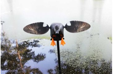 Image of Mojo Gadwall Decoy, Elite Series, HW2473