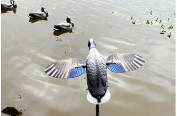 Image of Mojo King Mallard Drakes Decoy, HW2520