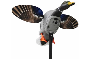 Image of Mojo King Mallard Drakes Decoy, HW2520