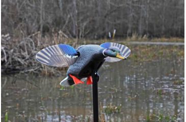 Image of Mojo Mini Mallard Drake Decoy, Elite Series, HW2470