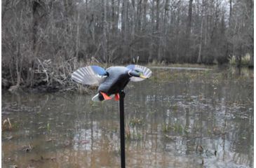 Image of Mojo Mini Mallard Drake Decoy, Elite Series, HW2470