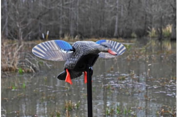 Image of Mojo Mini Mallard Hen Decoy, Elite Series, HW2471