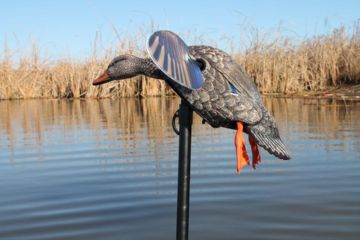 Image of Mojo Mini Mallard Hen Decoy, Elite Series HW2471