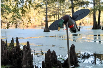 Image of Mojo Outdoors HW2533 Mallard Drake Multi Color Features Remote Control