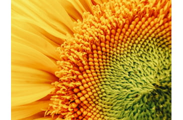 Image of Moment T-Series Macro Lens, 10x, 130-107