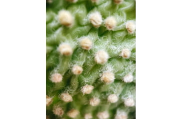 Image of Moment T-Series Macro Lens, 10x, 130-107