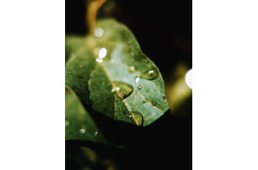 Image of Moment T-Series Macro Lens, 10x, 130-107