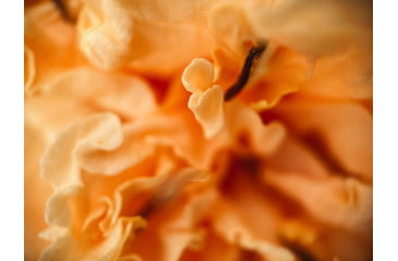 Image of Moment T-Series Macro Lens, 10x, 130-107