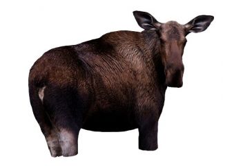 Image of moose ii decoy, brown