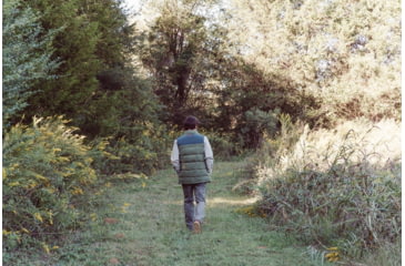 Image of Mountain Khakis Ryker Peak Down Vest Classic Fit - Mens, Forest Moss, L, N49301FOREST MOSSL