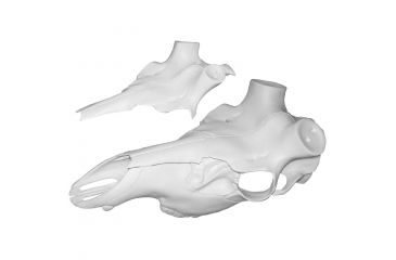 Image of Mountain Mike's Elk SkullMaster, Universal Kit MMR ESM
