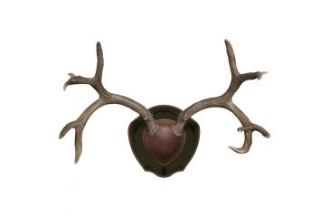 Image of Mountain Mike's Rack Plaque, Brown MMR RP