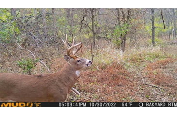 Image of Muddy Matrix Cellular Hunting Trail Camera, 36MP, 1080P, Photo&amp;Video, Cracked Mud Camo, Cracked Mud Camo, MUD-MTRX