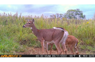 Image of Muddy Matrix Cellular Hunting Trail Camera, 36MP, 1080P, Photo&amp;Video, Cracked Mud Camo, Cracked Mud Camo, MUD-MTRX
