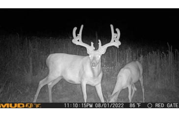 Image of Muddy Matrix Cellular Hunting Trail Camera, 36MP, 1080P, Photo&amp;Video, Cracked Mud Camo, Cracked Mud Camo, MUD-MTRX