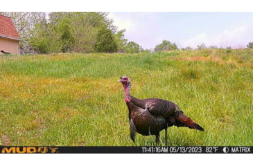 Image of Muddy Matrix Cellular Hunting Trail Camera, 36MP, 1080P, Photo&amp;Video, Cracked Mud Camo, Cracked Mud Camo, MUD-MTRX