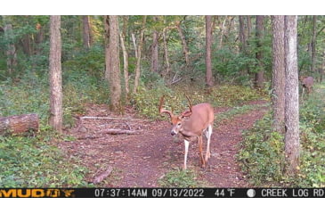 Image of Muddy MUD-MTGTR Brown