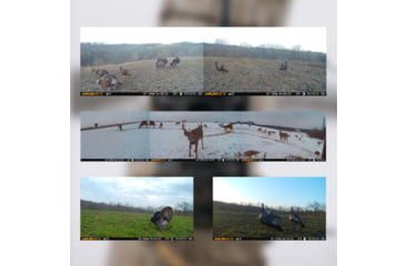 Image of Muddy Trifecta 180 Cellular Trail Cam 36Mp Dual Network, MUDTRF180