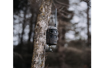 Image of Muddy Trifecta 180 Cellular Camera, 36MP, Brown, MUS-TRF180