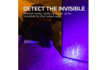 Image of Nebo Torchy UV Flashlight, AAA, LED, NEB-FLT-1061