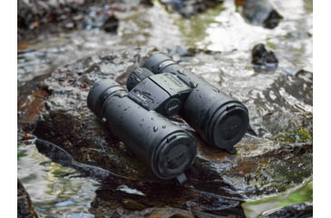 Image of Nikon M7 8 x 30 Roof Prism Binoculars, Black, 16763