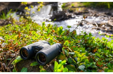 Image of Nikon PROSTAFF P7 10x42mm Binocular, Roof Prism, Black, 16773