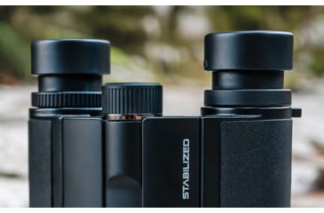 Image of Nikon STABILIZED 12x25mm S Roof Prism Binoculars, Black, 16783