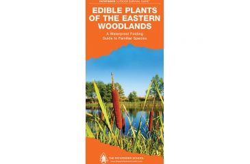 Image of Ntl Book Network Edible &amp; Medicinal Mushrooms 9781493008032