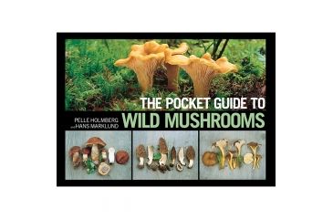 Image of Ntl Book Network Edible &amp; Medicinal Mushrooms 9781493008032