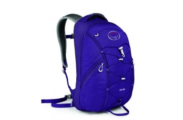 Image of Osprey Axis Pack-Prince Purple