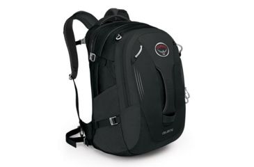 Image of Celeste 29 Pack -Black