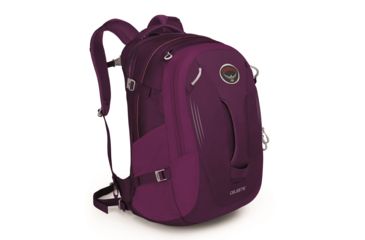 Image of Celeste 29 Pack -Pomegranate Purple