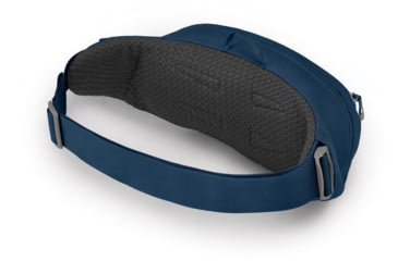 Image of Osprey Daylite Waist Pack, Wave Blue, One Size, 10003247
