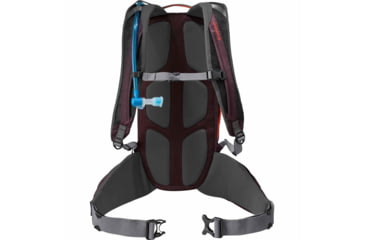 Image of Platypus Siouxon Womens Backpack-Plum