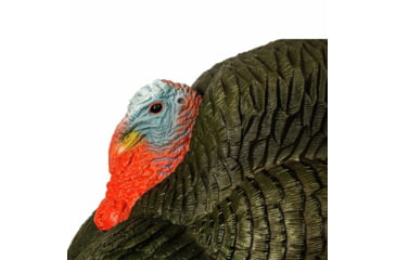 Image of Primos Hunting Lil Gobbstopper Strutter Turkey Box Calls, 69076