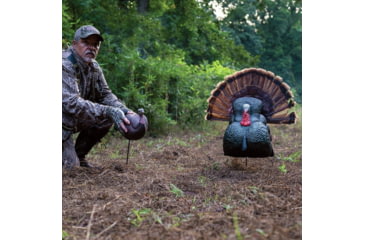 Image of Primos Hunting Lil Gobbstopper Strutter Turkey Box Calls, 69076