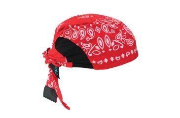 Image of Radians Arctic Skull Head Shade Red Paisley