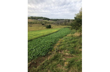 Image of RaKK Fuel Groundwork 1/2 Acre, Large, 7518